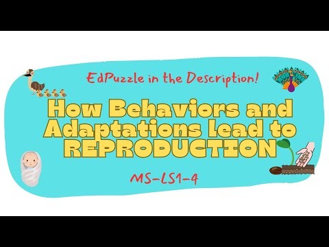 How Behaviors and Adaptations Help PLANTS and ANIMALS Reproduce. MS-LS1-4 Edpuzzle linked!