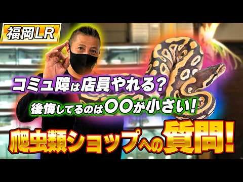 #76 I asked a ball python specialty store 👂