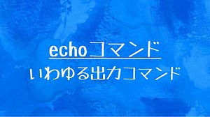 [10秒Linux]ざっくりわかる「echo」