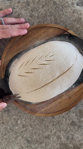 Sourdough Oven Spring