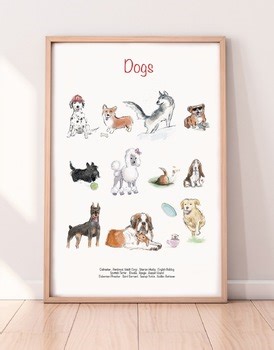 Dogs Breeds Poster- Hand-drawn Illustrations / Classroom Decor 