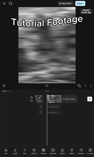Comprehensive History Tutorial for All Learners
