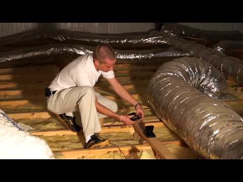 How To Get Rid Of Rodents In The Attic Pest Products Online