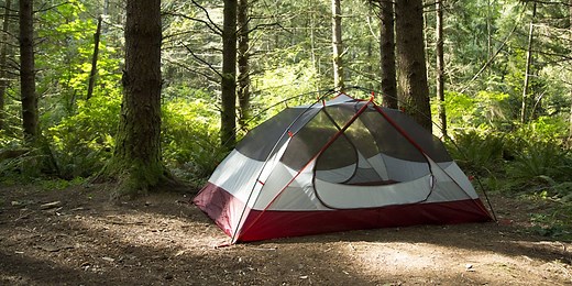 How to Clean, Waterproof & Care for a Tent | REI Co-op