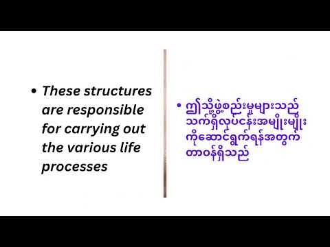 Biology ( GRADE -10) Chapter -1 (1.1.3) Cellular structure & Metabolism