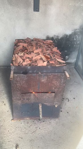 Srdjan ShibaInu Petronijevic on Reels