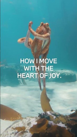 The Heart of Joy — Unifying every element of your BMW in one innovative control unit.