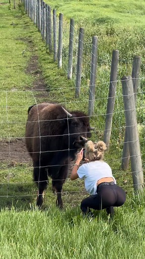 If you could be any animal? Ladies in the comments, you can’t pick cow again🐮 | Autumn Blair