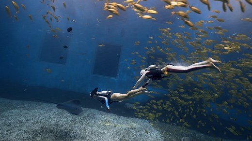 Never Get Lost Underwater Again! 🌊✨ Dive into freedom with the AJ-03 Aquatic Jetpack! This isn’t just gear—it’s your personal underwater co-pilot. 🚀 ✅ SMART NAVIGATION: Built-in inertial guidance keeps you on track effortlessly. No more guessing—just glide. ✅ LIVE DATA CONTROL: Monitor depth, speed, and battery right in the palm of your hand. ✅ POWERFUL & SILENT: Our next-gen thruster delivers 2x the thrust—with zero noise and zero tangles. ✅ LIGHTWEIGHT & SAFE: Weighs only 2kg in water and in