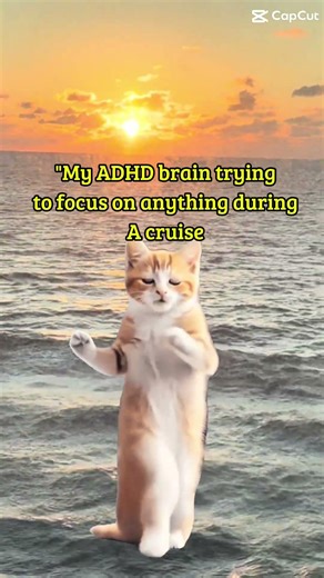 #shortsfeed #shorts #reels #funny #cats #cruise #cruising #tour #vacation #travelvlog #beach #fyp