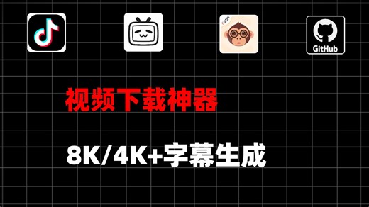【8期】视频下载神器，8K/4K+字幕生成