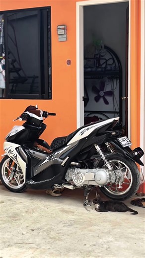 Explore the Indoconcept Pearl White Aerox V2