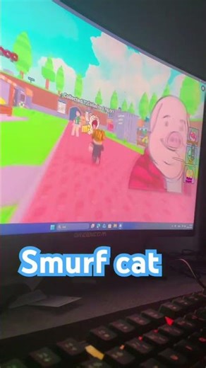 How to find smurf cat