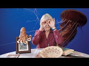 Donna Haraway Talks Speculative Fabulation and more