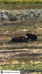 7K views · 14K reactions | From ETA Naturalist...