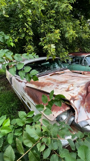 87K views · 2.2K reactions | Row after row of Cadillacs. Parts available from all - shipping available. #Salvageyard #cadillac | D&H Classics, LLC | Facebook