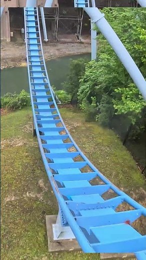 Griffon POV 😱 Busch Gardens INSANE Dive Coaste #rollercoaster #buschgardenswilliamsburg