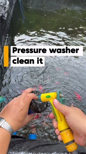 Algae clogged my pond pump! 😱 Power wash fix and it’s flowing strong again 💧🐟 #shorts #pets