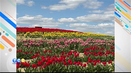 Minnesota’s First Tulip Festival