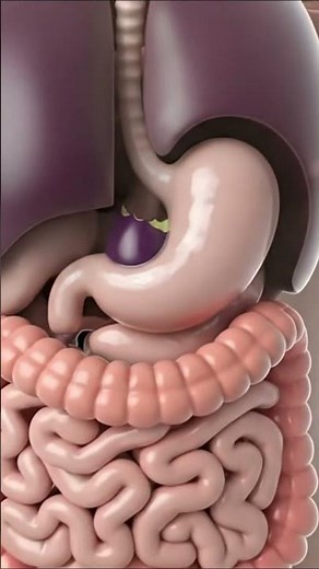 What Happens Inside Your Body When You Eat Eggplant? 🍆 | Surprising Health Benefits