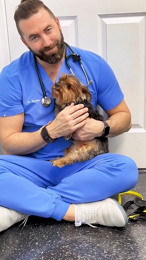 251K views · 6.2K reactions | Watch This Dog's Attitude Completely Transform When Treated With Patience and Kindness by This Amazing Vet 凉 | Animals Doing Things | Facebook