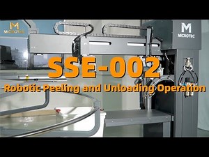 Automatic DTF Peeling & Unloading Machine | Full Setup and Operation Guide