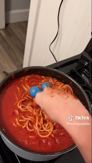Spaghetti Recipe: A Fun Cooking Adventure with Heyitzpuppies