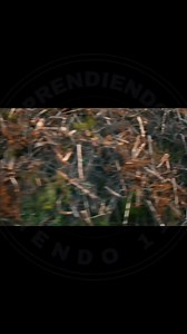 Cómo los trenes mantienen la seguridad en las vías durante el invierno. Los Poderosos Frenos Neumáticos de los Trenes. La Locomotora Resistente a los Desafíos Naturales Aprendiendoviendo17 #aprendiendoviendo17 #fbreelsfypシ゚ | Aprendiendoviendo17