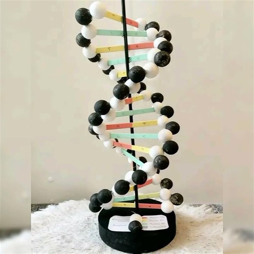 Atomic structure school project