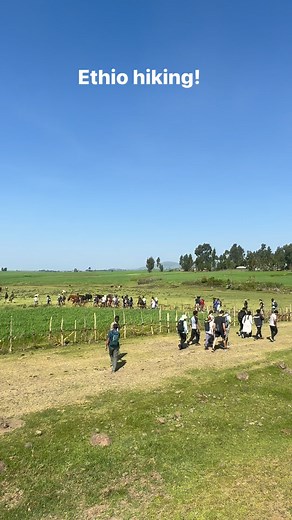 #AdventureEthiopia #wildlife | Ethio Hiking Community