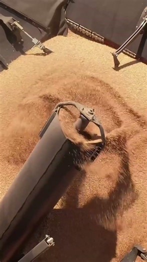 🔥 Case AF10 Combine Harvester Full Review