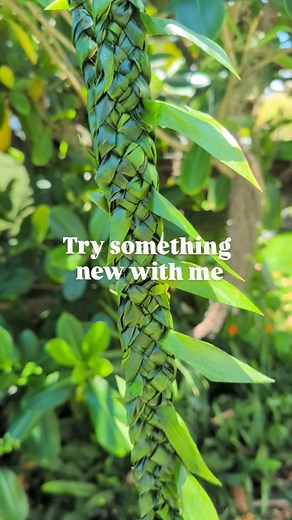 No rules just methods! Wanted to sample this for the grad season. 5 Strand Open Ti Weave Lei. Find um today @simplylocalhawaii. But try wait! I never drop um yet. Follow stories for drop. Mahalo! | Ho'olei Maui
