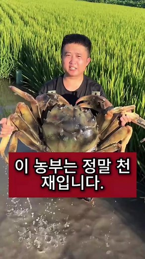 농업 혁신, 개와 벼의 공생 시스템