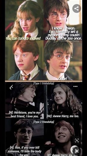 Two Types of Friendship 😂 | Harry Potter Funny Meme Edit