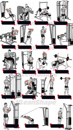 Target Muscle Growth: Workout Routine for Triceps