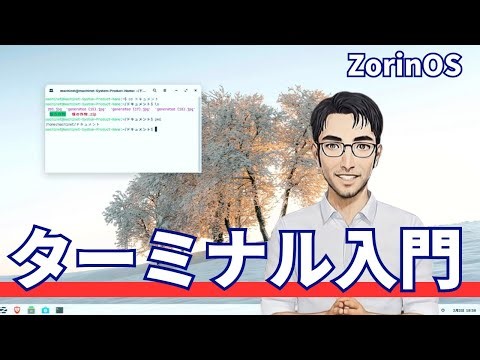 ZorinOS | 10 Basic Terminal Commands to Learn First [Beginner's Edition]