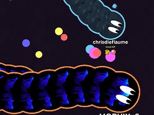 Worm.is  🕹️ Online Game | Gameflare.com