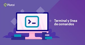 Standard Input, Standard Output y Standard Error