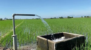 125 reactions · 32 comments | 3hp Franklin Submersible pump powered by solar installed at Pintor Gamu Isabela Unlimited water for your farm! Got an existing electric pump?we can convert it to solar, no need to change pump! Deal with legit professional installer only, protect your investment  Call 09956728555 or visit our office for more informations! | Suntech Power Solutions | Facebook