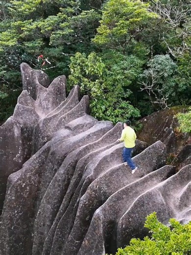 Shibagutou Scenic Area in Xianyou, Putian hides a one-of-a-kind taste of mountain wilderness, where untamed landscapes meet quiet charm. #Putian #Xianyou #Shibagutou Putian China Travel in China ❤️ 旅游中国 Beautiful places in China | Hola Fujian
