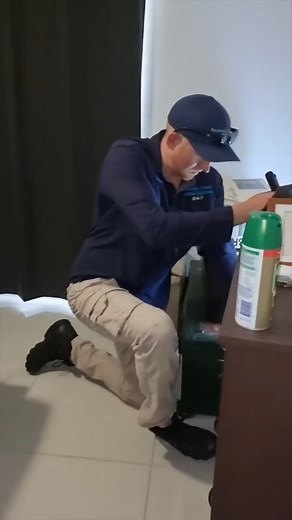 SNAKE IN BEDROOM 😳 Unexpected visitor! 🐍 Caught a snake right in the bedroom on the Sunshine Coast – wildlife can be wild and surprising! #SnakeCat #Snake #SunshineCoast #Reptile #Wildlife #SnakeCat #UnexpectedVisitors #NatureUpClose #AnimalEncounters #WildlifeMoments #ReptileLife | Wildlife With Stuart Mckenzie