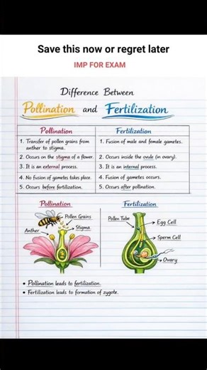 Fertilization 🌱 vs Pollination 🌺 | Biology Shorts ⚡| #shorts