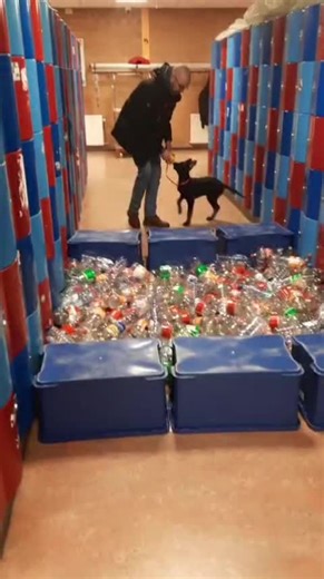 #policepup #k9puppy #puppysoftiktok #k9softiktok #puppytraining