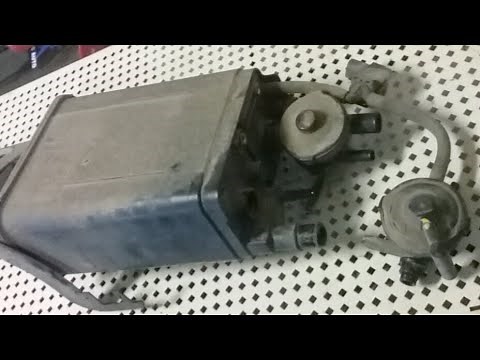 Toyota Codes (P0440,p0441,p0446)