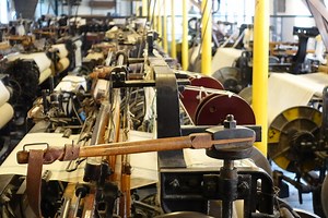 Sony Cyber-shot RX100 Mark IV sample image