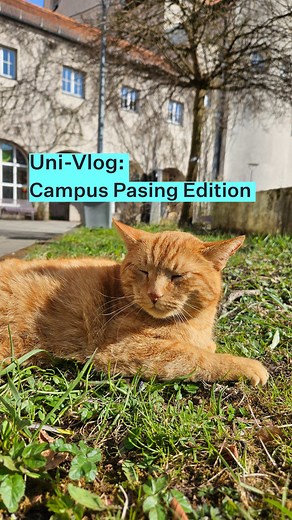 Wie sieht eigentlich ein ganz normaler Studi-Alltag an der HM aus? 👨‍🎓 Vinz studiert den Master „Gesellschaftlicher Wandel als Gestaltungsaufgabe” (GWG) am Campus Pasing und nimmt euch mit – von der ersten Vorlesung bis zur Campus Cat. 🤔 Wie sieht euer Alltag im Studium aus? #StudiVlog #StudyLife #Studieren #Master #Studium #Pasing #HochschuleMünchen