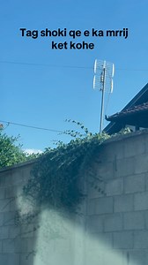 Tagg shkin😥 | Vajtuse - Shumë të mira - Muzikë Live