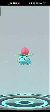 Evolving My 4★ HUNDO BULBASAUR into VENUSAUR! 🌱✨ Pokémon GO Perfect IV Evolution