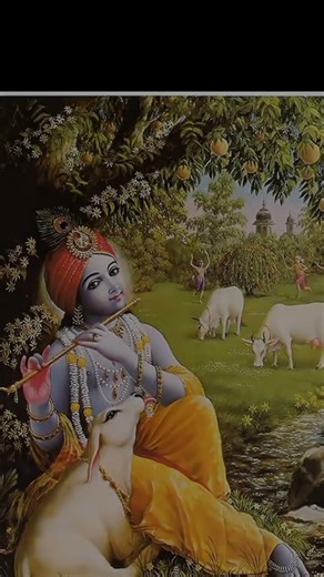 jay shee krishna #krishna #god #radhakrishna