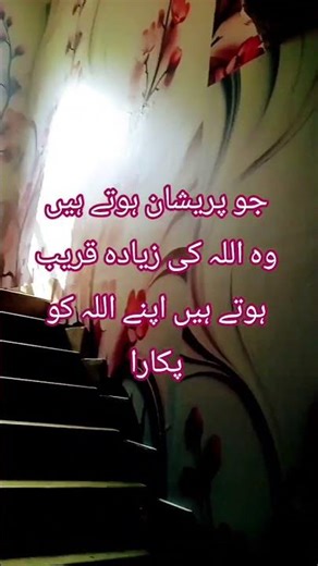 پریشانی کا حال جو پریشان ہوتے ہیں وہ اللہ کے زیادہ قریب ہیں#badlion #venomlinebullies #pogonotrophy